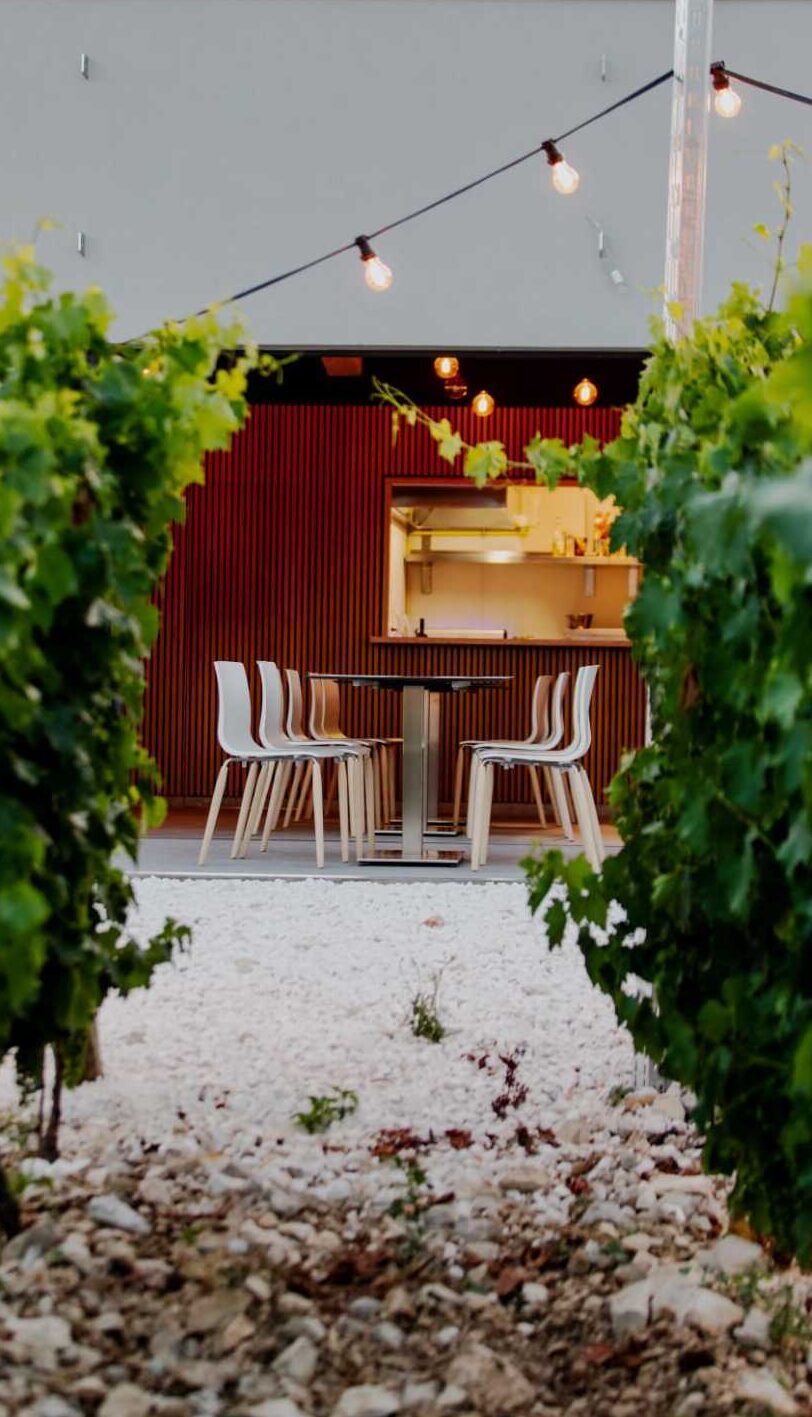 beautiful-wine-tasting-croatia
