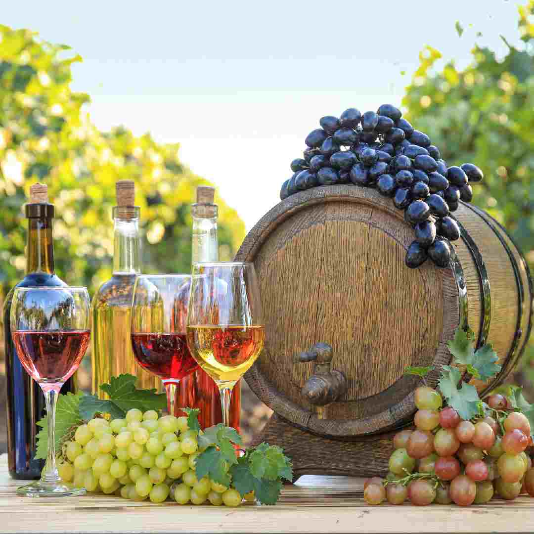 wine-tasting-tours-croatia